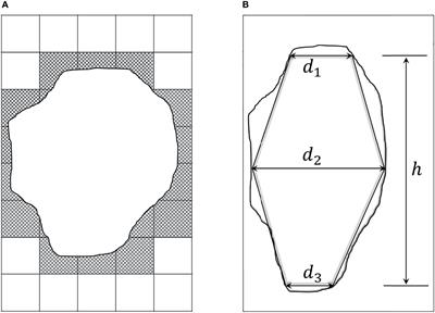 Gross Tumor Volume Definition and Comparative Assessment for Esophageal Squamous Cell Carcinoma From 3D 18F-FDG PET/CT by Deep Learning-Based Method